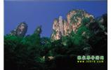 網(wǎng)絡(luò)熱門(mén)純玩游:張家界、天子山、袁家界、楊家界 自助三日游